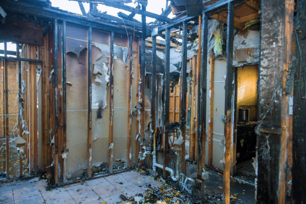 Professional Fire Damage Removal technician working in Rolling Hills Estates, CA